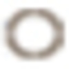 Aurora Global Income Trust