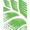 Whole Earth Brands Inc - Class A